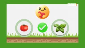 Лучшие соседи на грядке. Что с чем сажать?