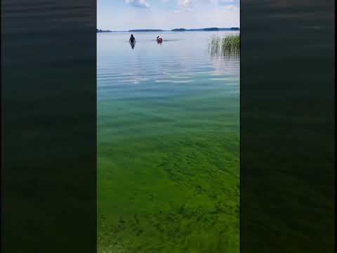 Зелёное ОЗЕРО ЭТО жесть!!! место которое реально существует ! смотреть онлайн