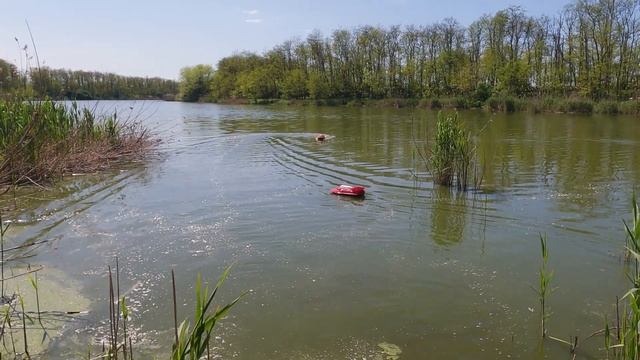 2 рыболовных кораблика (однобункерные) Катран про LFishing