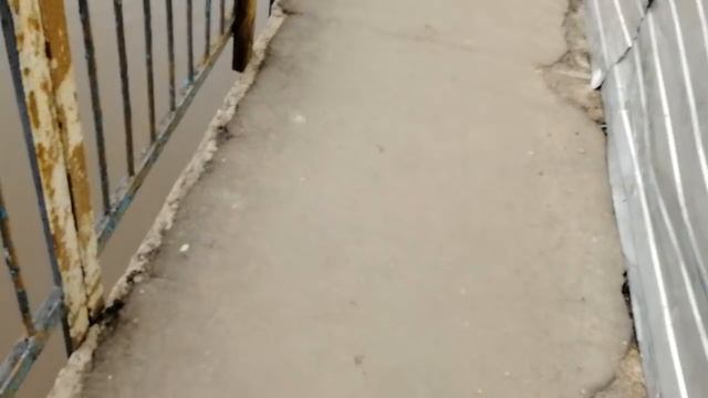 Никольский мост долбят смотреть онлайн