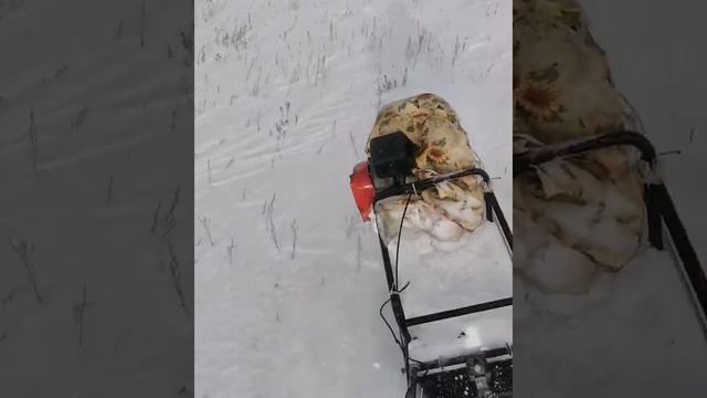 Покатушки на мотобуксировщике Forza 6.5, снег 10-16 см идёт тяжело смотреть онлайн