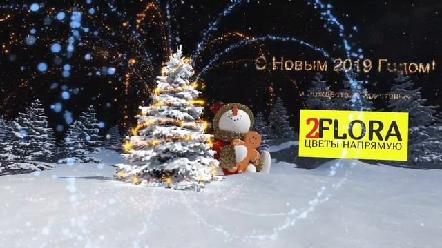 #2FLORA С Новым 2019 Годом и Рождеством! ❄🌲🎉 Пусть все самые смелые идеи воплотятся в жизнь! смотреть онлайн