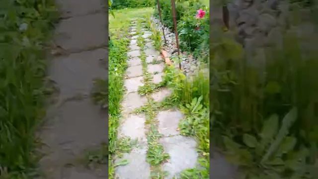 какие развлечения есть на даче смотреть онлайн