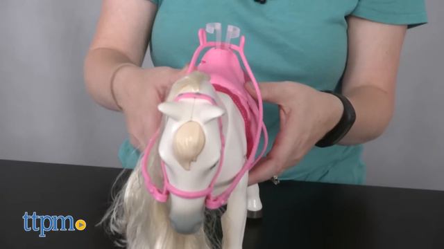 Barbie Dreamhorse And Barbie Doll Playset Review & Instructions | Mattel Toys