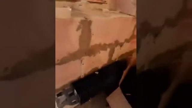 (108)Капитальный ремонт двухкомнатной квартиры в г.Королев,ул.Ленинская 11 а. смотреть онлайн