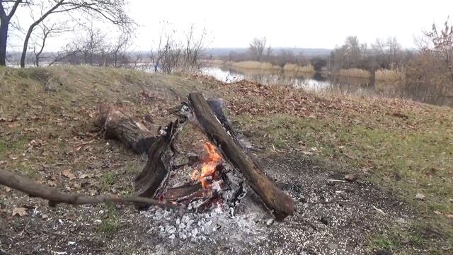 Беседы о рунах #22. Ответы на вопросы смотреть онлайн