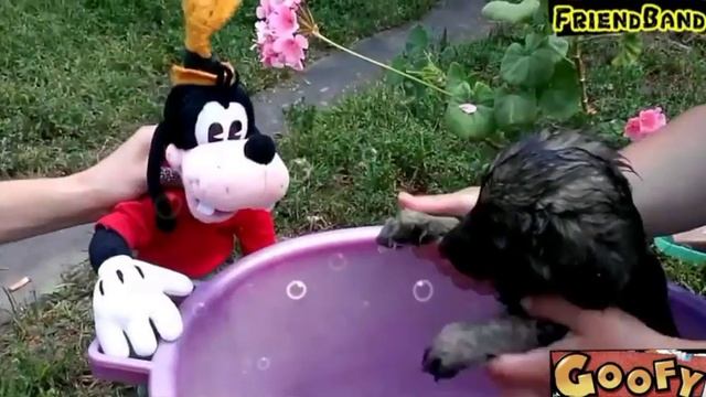 Щенячий патруль купается в тазике! ЭКСКЛЮЗИВ!!!!! От ФрендБенд! смотреть онлайн