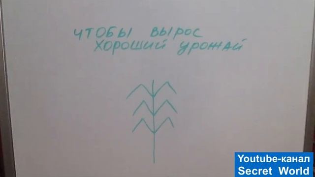 Руны для получения ХОРОШЕГО УРОЖАЯ смотреть онлайн