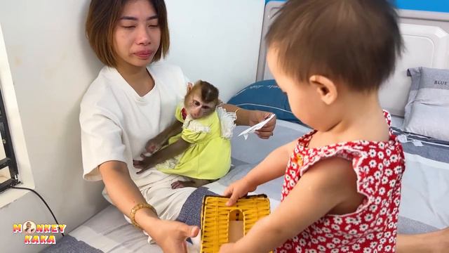 Monkey Kaka and Diem took tissue to wipe mom's tears when she cried смотреть онлайн