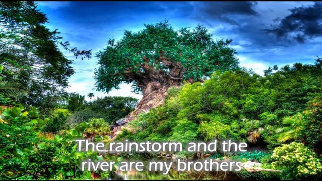 Vanessa Williams – Colors Of The Wind Lyrics @赖彩云 смотреть онлайн