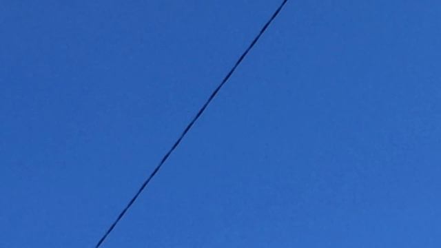 Сапсан и два тетеревятника одновременно. 14.03.2019. смотреть онлайн
