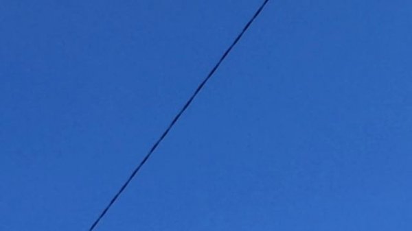 Сапсан и два тетеревятника одновременно. 14.03.2019.