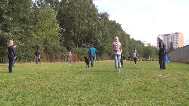 SMART WOOD HILLS ULAN ZTP SG1A 27/08/2017 смотреть онлайн