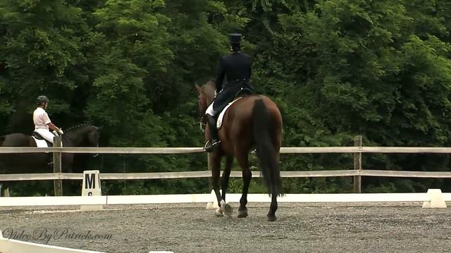 Kimberly Pullen on Wiedermark, FEI PSG, DVCTA Dressage Fair Hill, 6/12/2011 смотреть онлайн