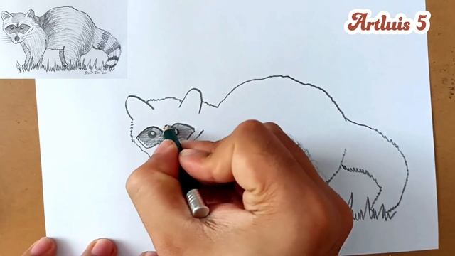 HOW TO DRAW A RACCOON смотреть онлайн