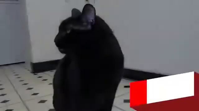 6 ВЕЩЕЙ КОТОРЫЕ УЧЕНЫЕ НЕ МОГУТ ОБЪЯСНИТЬ смотреть онлайн