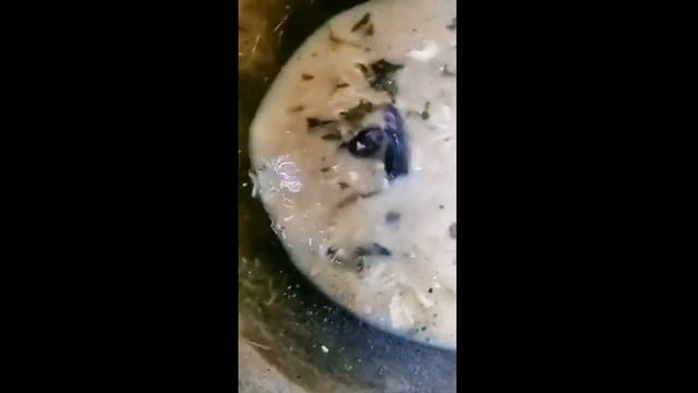 Крысы бьют друг друга в кастрюле смотреть онлайн
