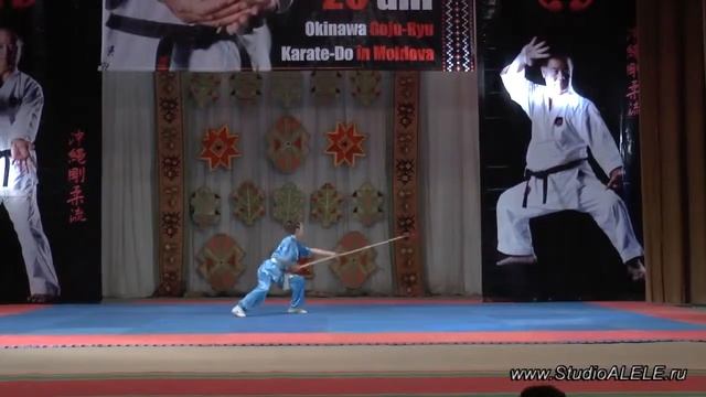 Группа Спортивного ушу отжигает на фестивале Боевых искусств в Молдове. смотреть онлайн