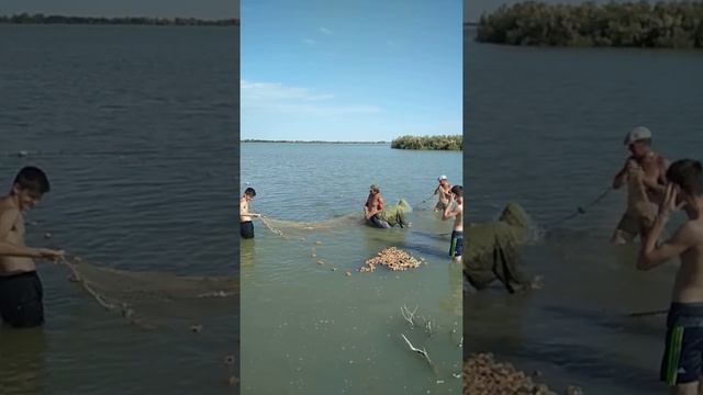 Облов карпа июнь месяц смотреть онлайн