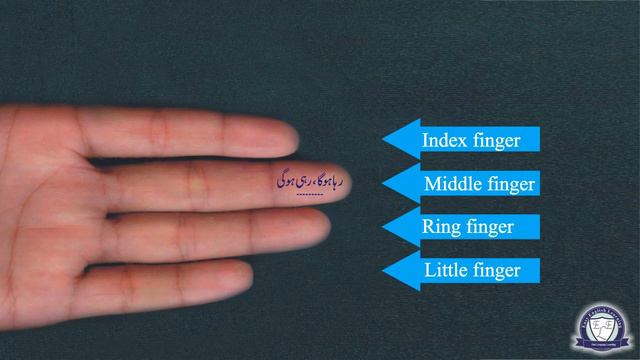 Lesson 23 Dynamic Verb Phrases of Present, Past and Future Simple & Continuous Tenses at Fingertip смотреть онлайн