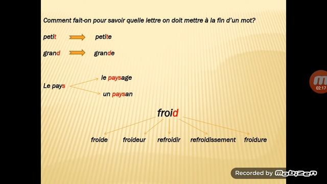 Orthographe: les consonnes finales muettes смотреть онлайн