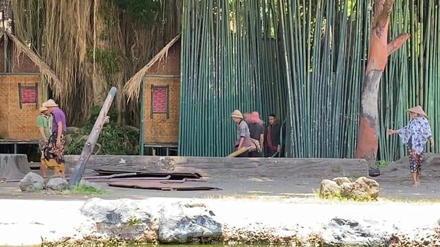 Bali Safari and Marine Park. Elephant Show 2022 смотреть онлайн
