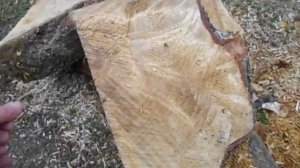 Немного о сушке сувеля .