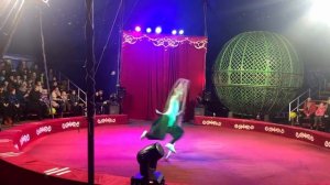 Цирк шапито братьев Мансуровых