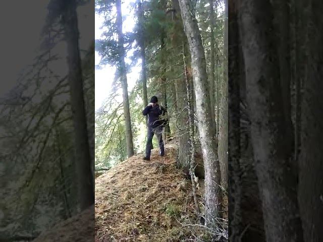 Сибирь, Матушка! Юрий Сорокин. смотреть онлайн