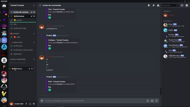DISCORD | Protéger son serveur des RAIDS avec PROTECT ! смотреть онлайн