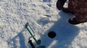 Зимняя рыбалка на омуля, байкал.