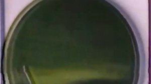 Реклама Стиральной машины Ariston 1998 года