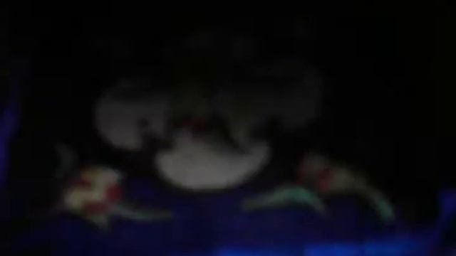 хорек Фунтик смотреть онлайн