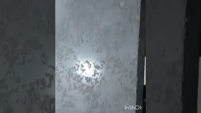 Декоративная штукатурка Гротто (карта мира) смотреть онлайн