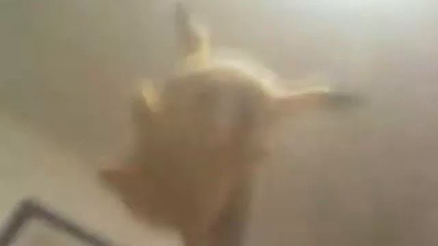 Пикачу смотреть онлайн