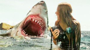 НАПАДЕНИЯ АКУЛ НА ЛЮДЕЙ