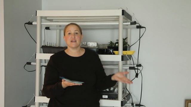 Grow Updates!!! Lisianthus, Bells of Ireland, Ranunculus & Stock! Sunshine and Flora Flower Farm смотреть онлайн