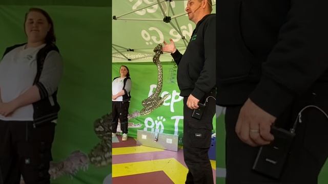 Diamond python смотреть онлайн