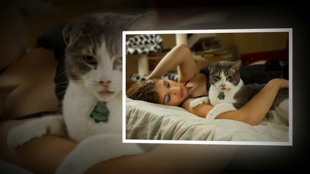 Почему кошки спят на голове смотреть онлайн