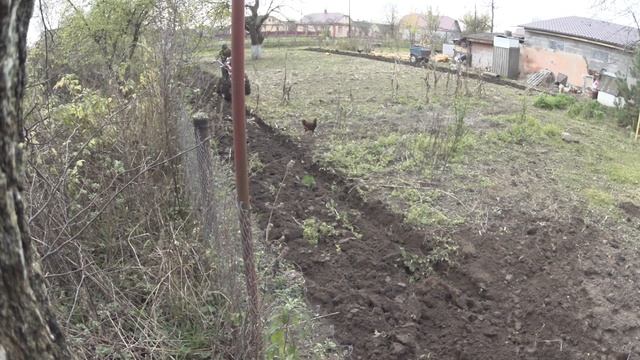 Двокорпусний плуг і мотоблок, перший виїзд #pavlo_axis смотреть онлайн