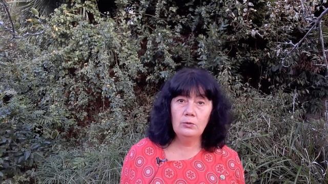 О медитации и природе ума для начинающих смотреть онлайн