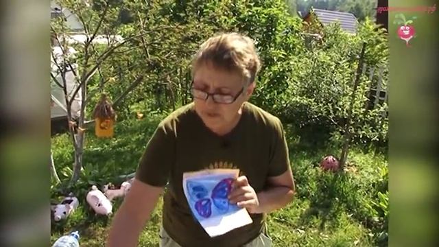 Декоративные бабочки своими руками. Самоделки для дачи #urozhainye_gryadki смотреть онлайн