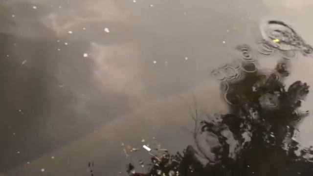 Incubator Drop 75. Энциклопедия воблеров на видео смотреть онлайн