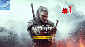 Ведьмак 3 Дикая Охота ► Начало приключений Геральта из Ривии! Прохождение игры - 1