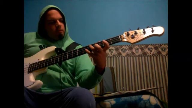 f**ck the system the exploited (bass cover) смотреть онлайн