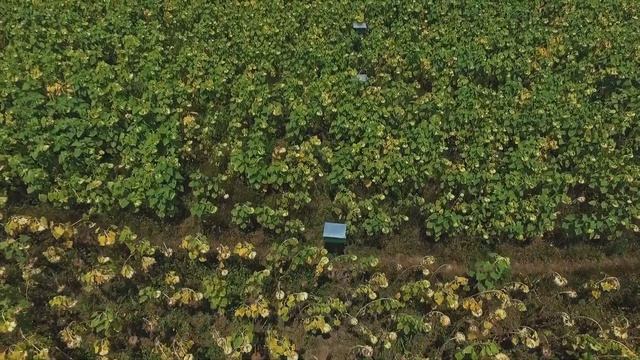 BIDCO AFRICA FARM; NAKURU DOCUMENTARY смотреть онлайн