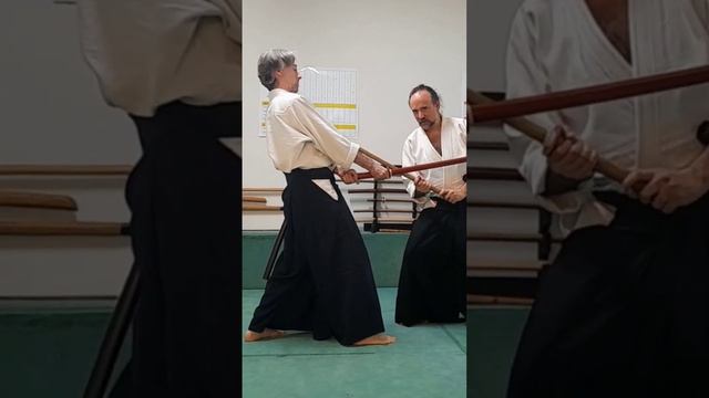Ukenagashi & Aiki (13) #martialarts #kenjutsu #aikido #katana #iaido #karate смотреть онлайн