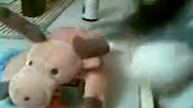 Друзья кота Феофила! смотреть онлайн