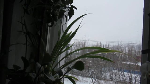 С Рождеством!!! смотреть онлайн