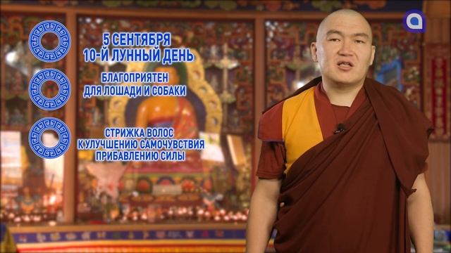 Опасности, советы и новые друзья